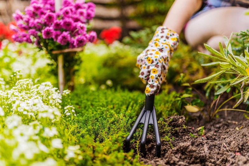 Avoid Dividing During Active Flowering Periods