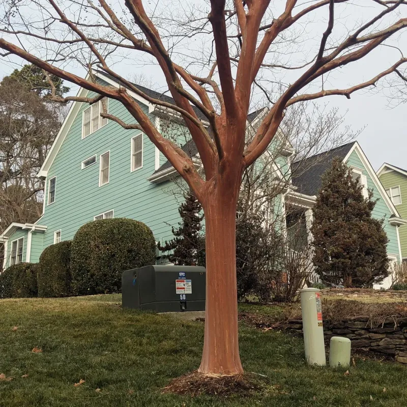 Don't Let April Rain Leave Roots Sitting Wet