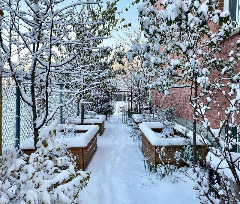 Cold Winters Can Reduce Insect Populations