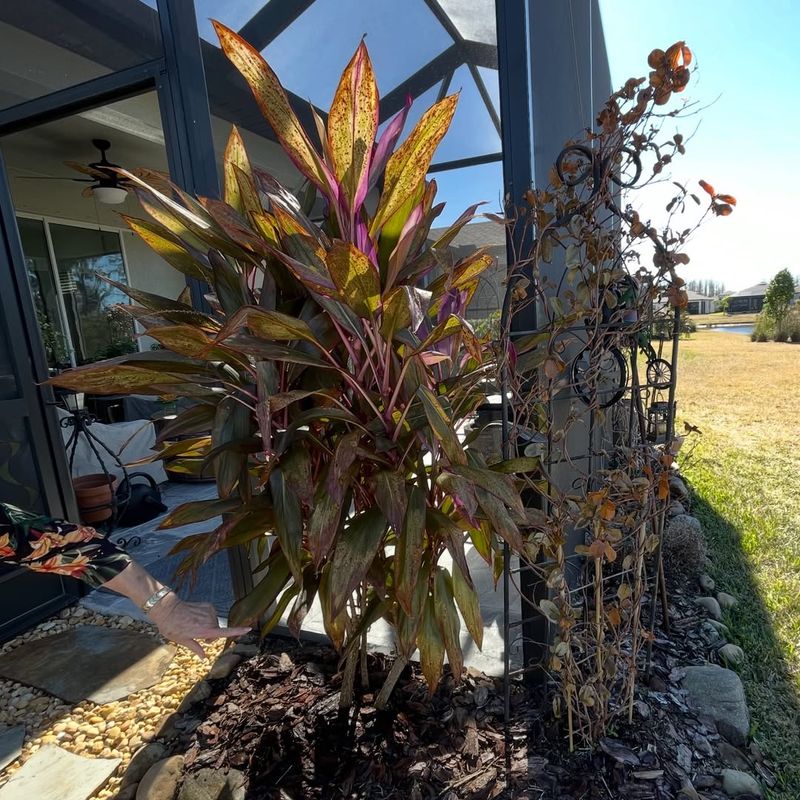 Hold Off On Fertilizing Too Soon