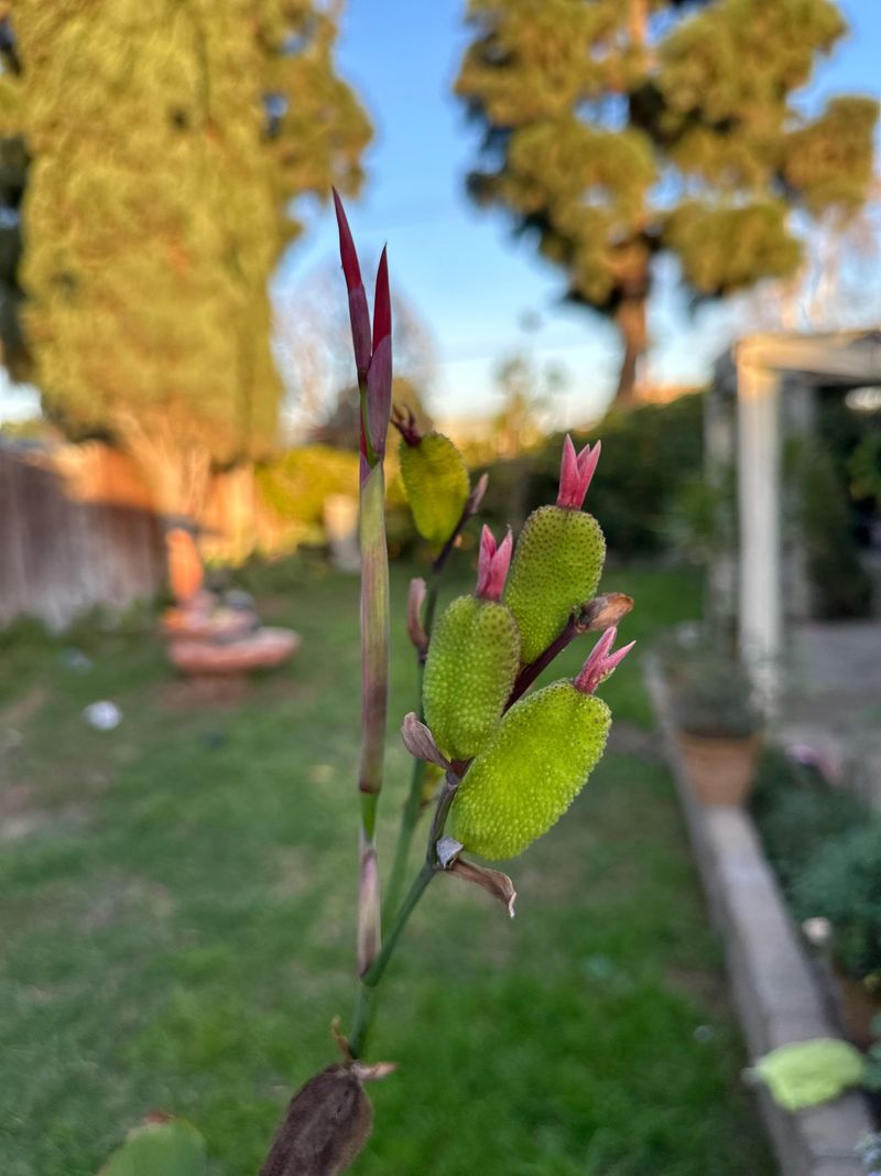 Soil Nutrients Become Active