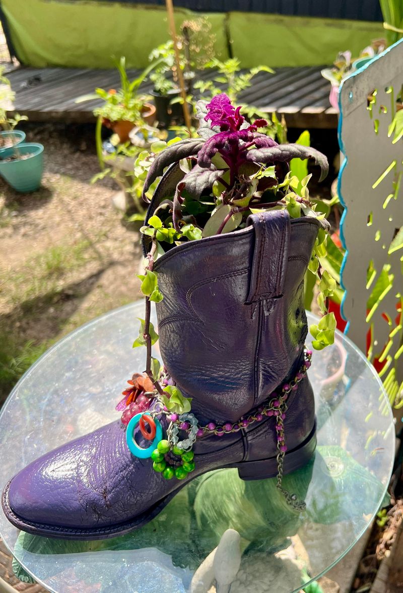 Old Boots Giving Worn In Garden Charm