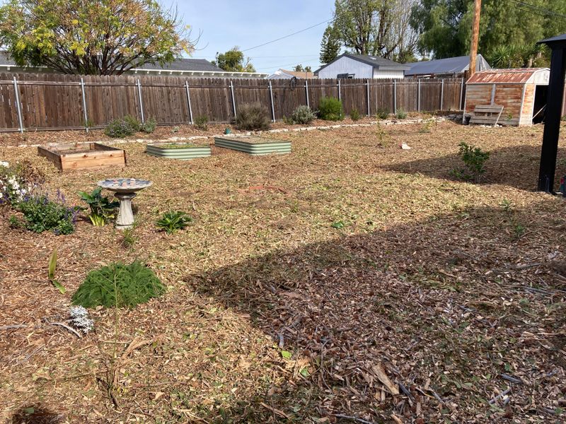 Less Turf, Less Waste