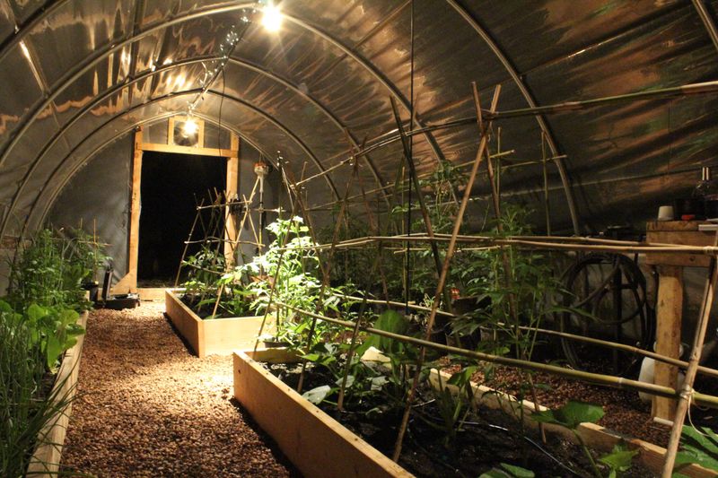 Extending Harvests Early And Late In The Michigan Growing Season