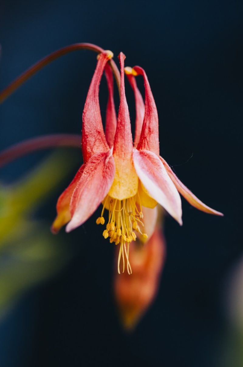 Head Start Against Cool Spring Temperatures