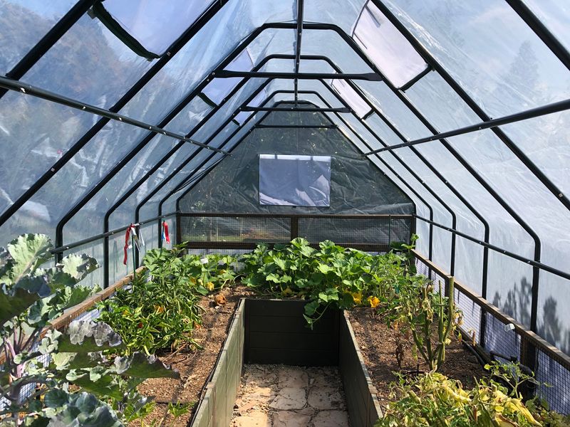 Greenhouses Offer Year-Round Growing Opportunities