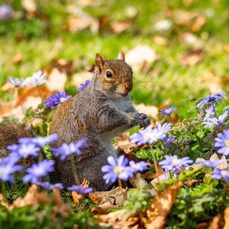 They Need Extra Food After Winter