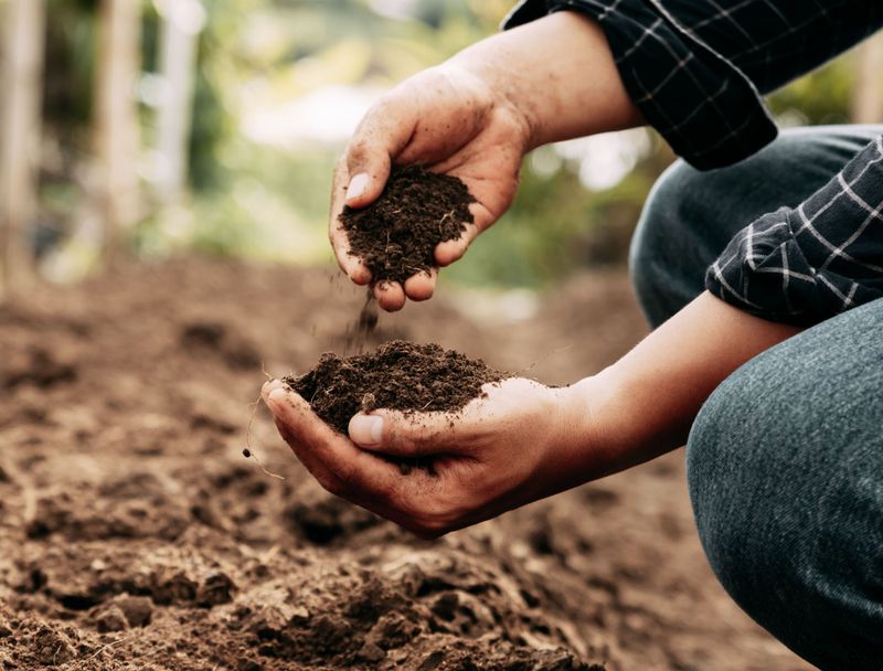 Soil Has Fully Warmed And Dries Faster
