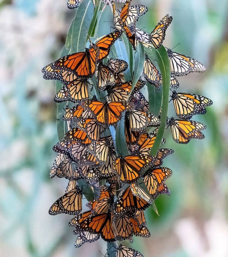 Protecting Overwintering Sites