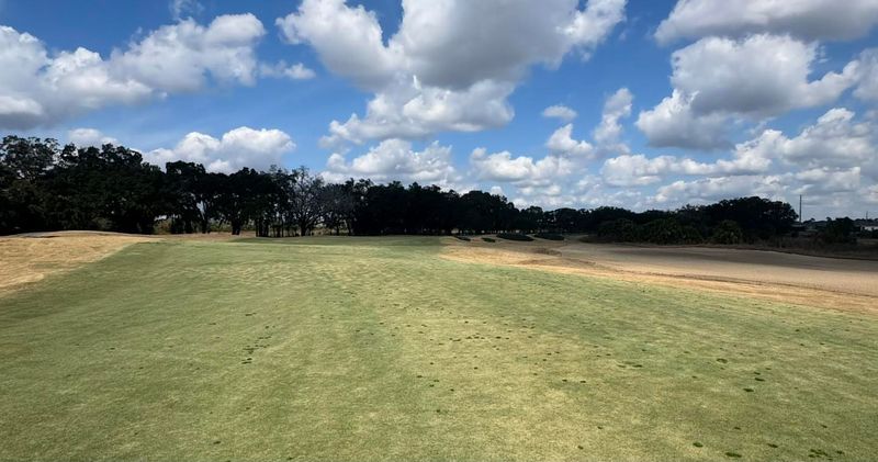 Warm Season Grasses Are Coming Out Of Dormancy