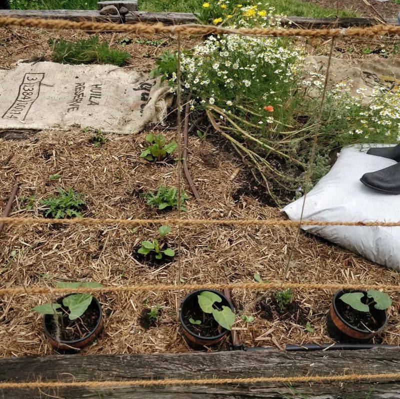 Soil Stays Softer Instead Of Turning Hard After Rain