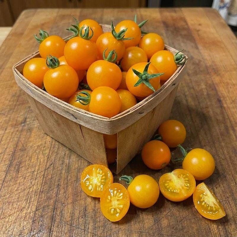 Sugar Basket Orange Cherry Tomato