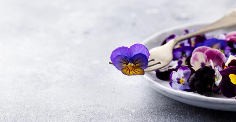 Easy Edible Flowers To Grow In California This Spring