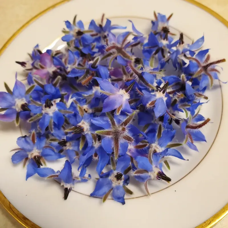Edible Leaves And Flowers