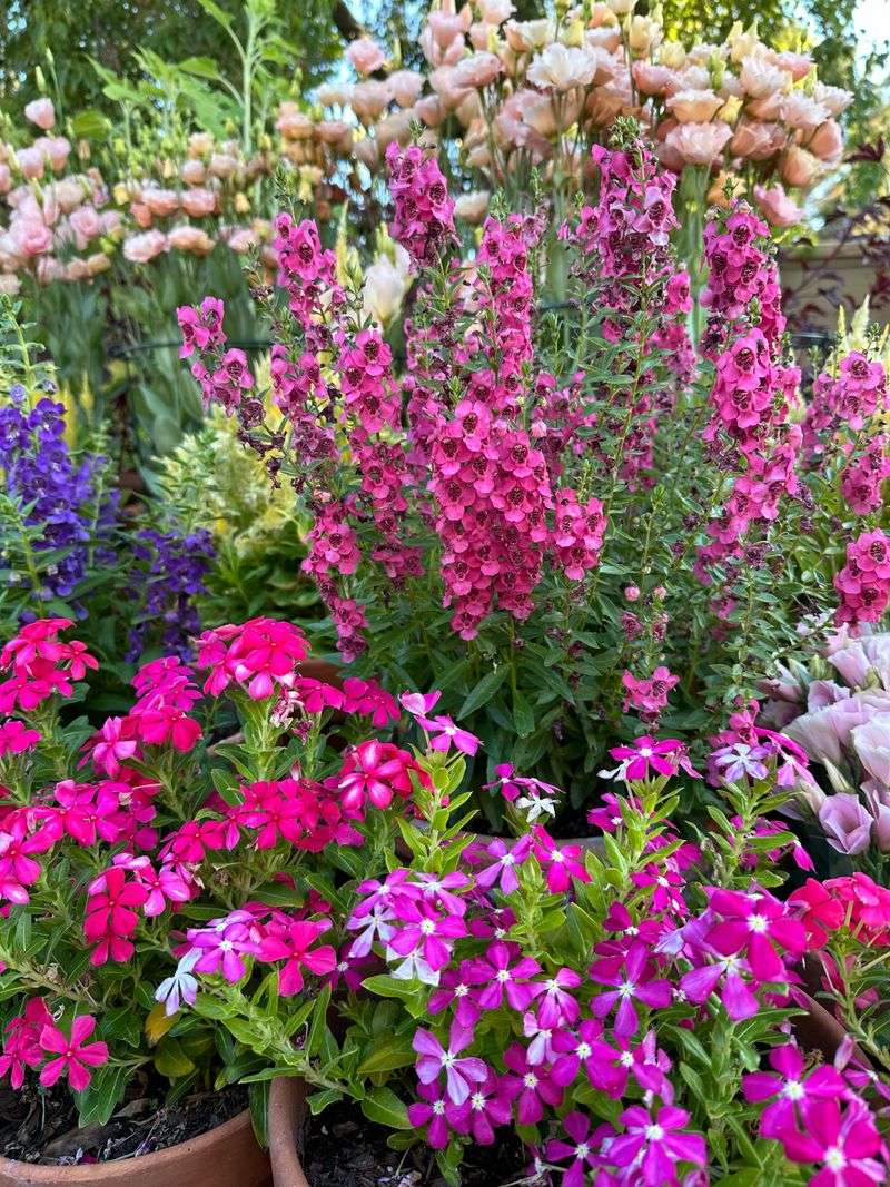 Choose Heat-Proof Gems Over Temporary Blooms