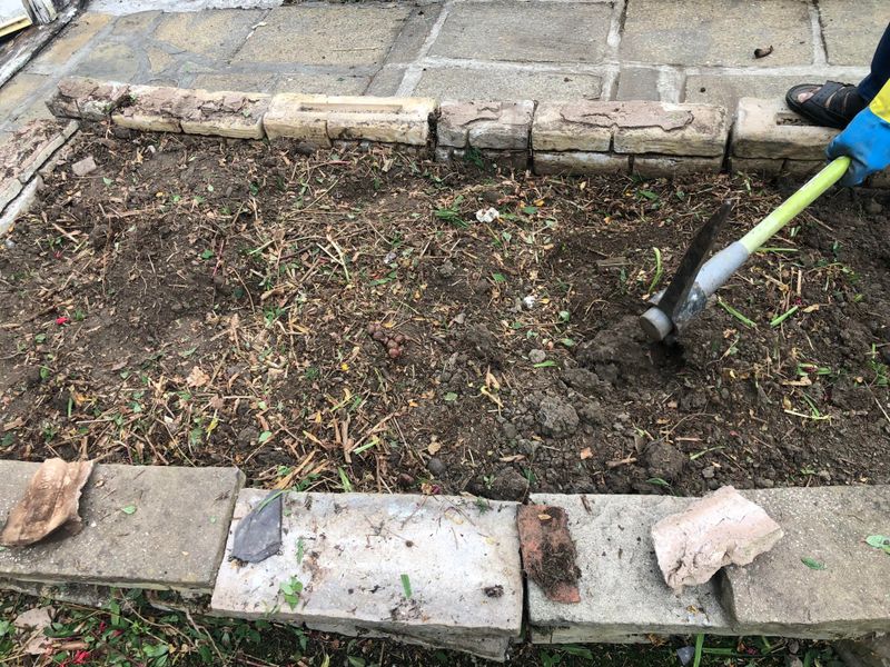 Preparing Soil Before Planting Your Edible Hedge