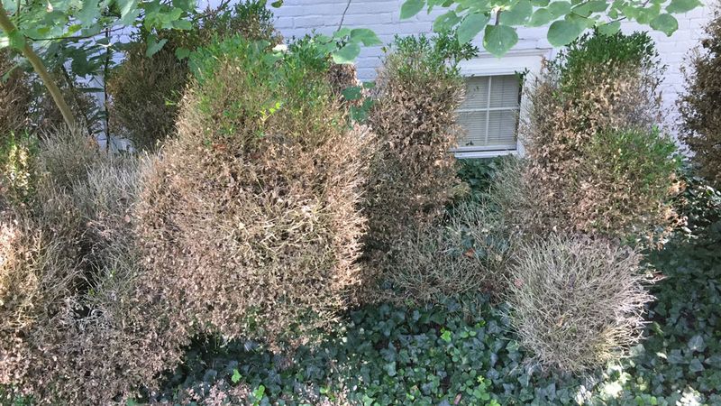 When To Involve Mediation Services