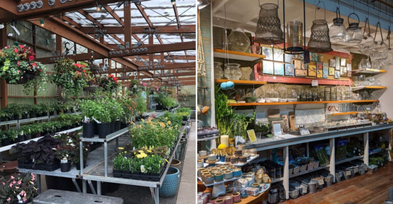 Exploring A Small Oregon Nursery That Locals Quietly Love