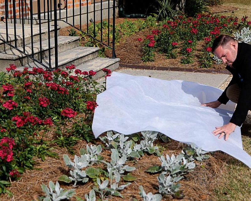 Not Taking Care Of The Mulch