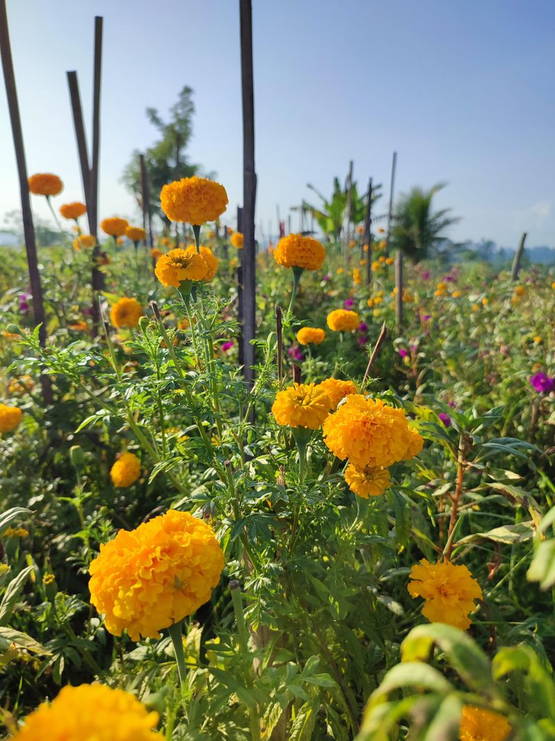 Tight Spacing Traps Humidity And Invites Issues