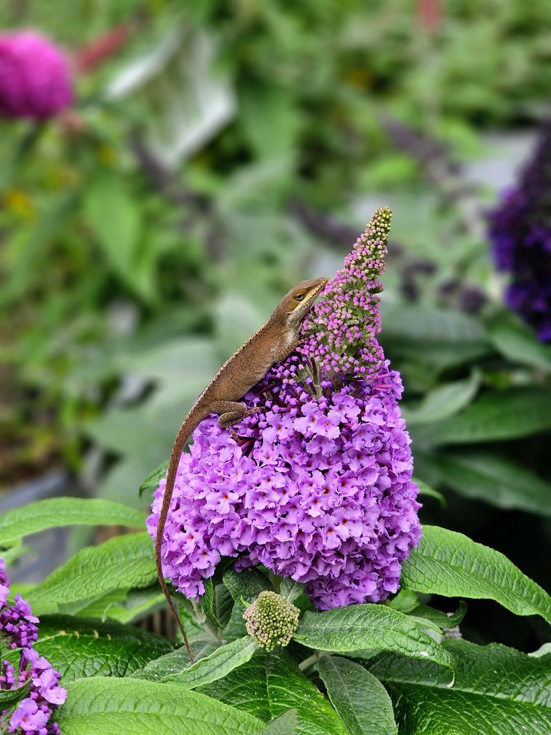 Water Deeply When Spring Gets Dry