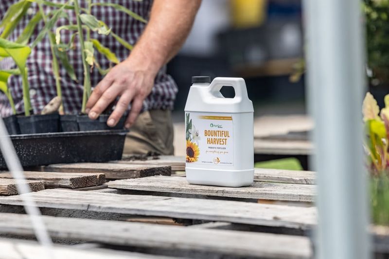 Choose Slow-Release Nutrients