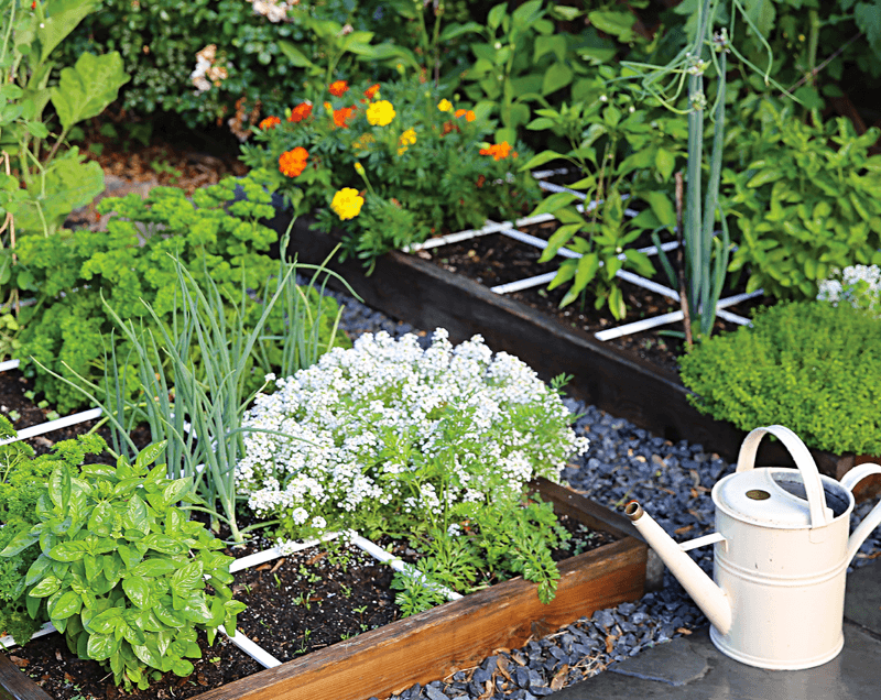 Water Deeply And Consistently