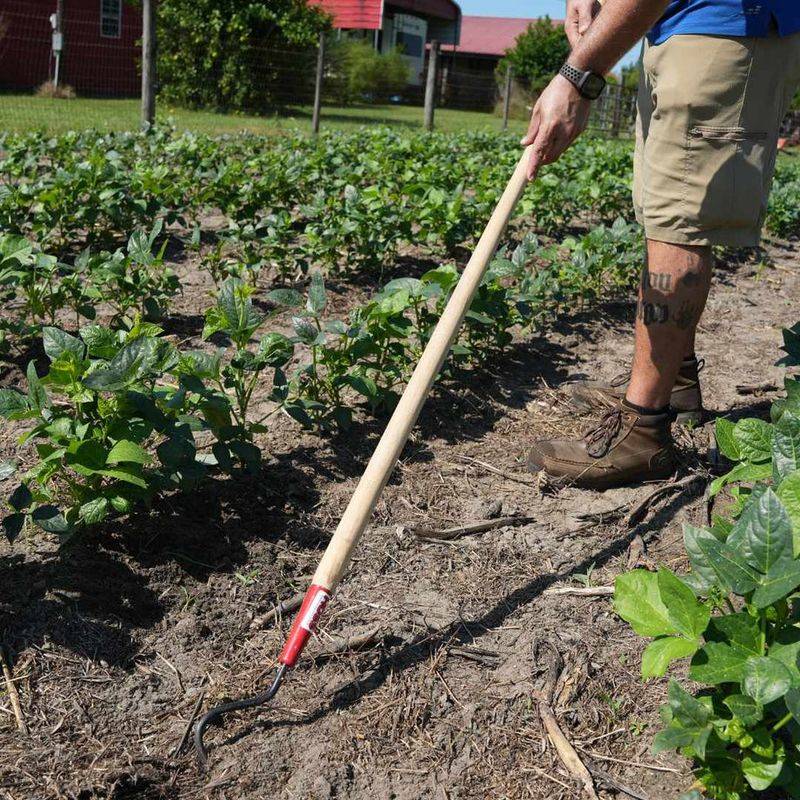 Light Work Prevents Damage To Deeper Roots