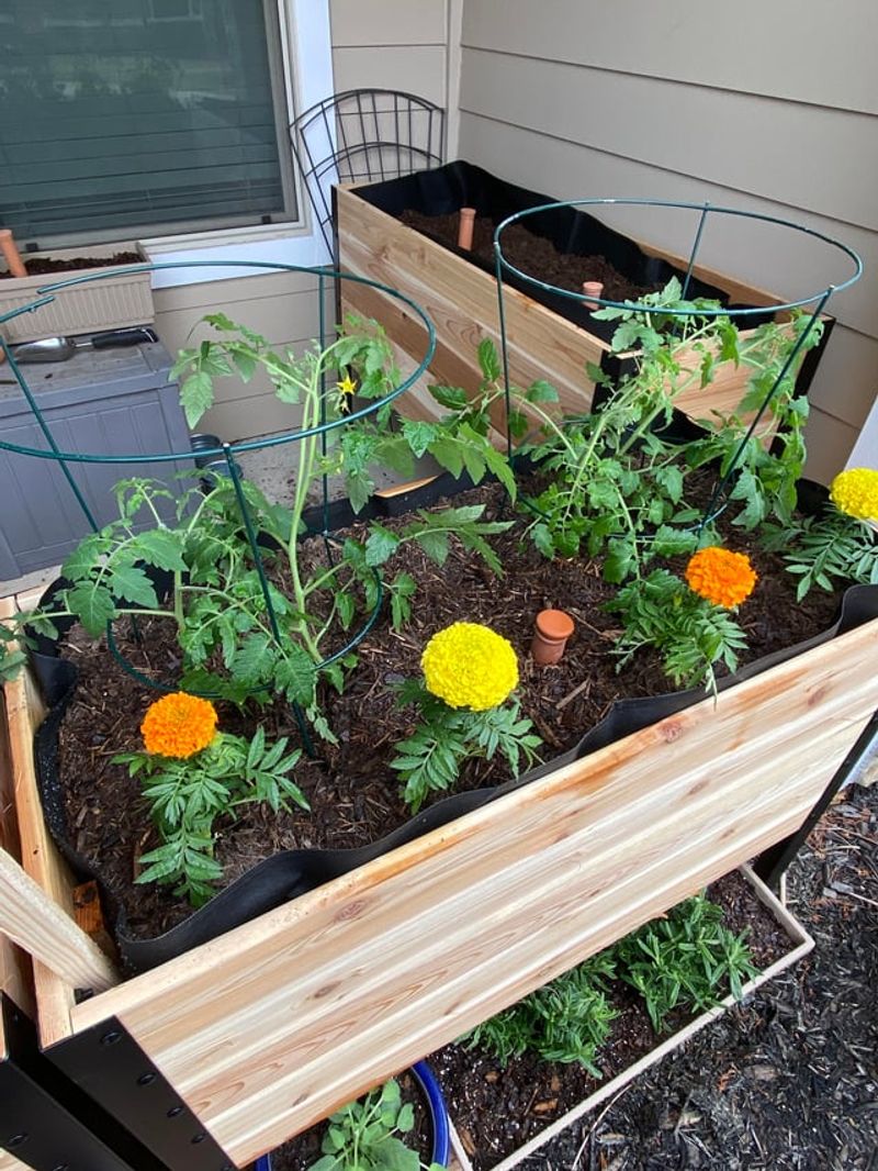 Keep Flower Beds From Staying Cool, Wet, And Crowded