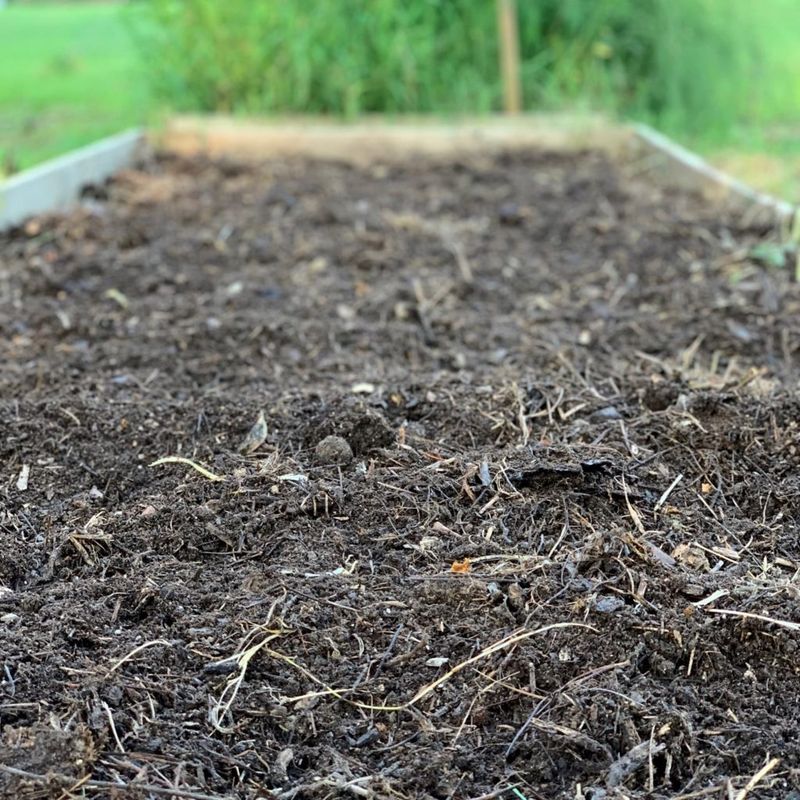 Using Too Much Compost Or Manure At Once