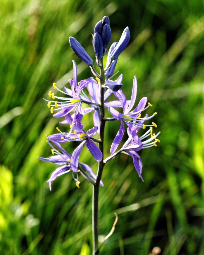 Low-Maintenance Recovery Solutions