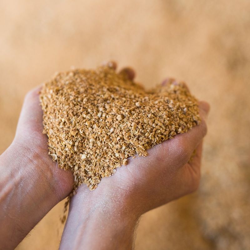 Prepare Your Substrate Like A Pro