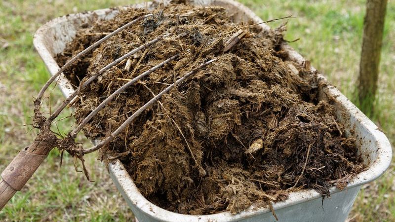 Composted Manure Supports Richer Soil Before Planting Time