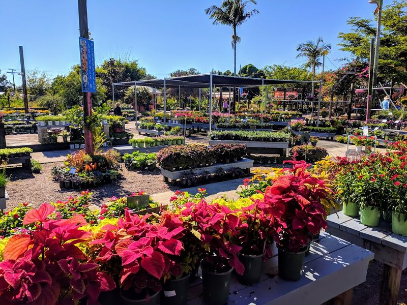 Rockledge Gardens Packed With Majestic Florals