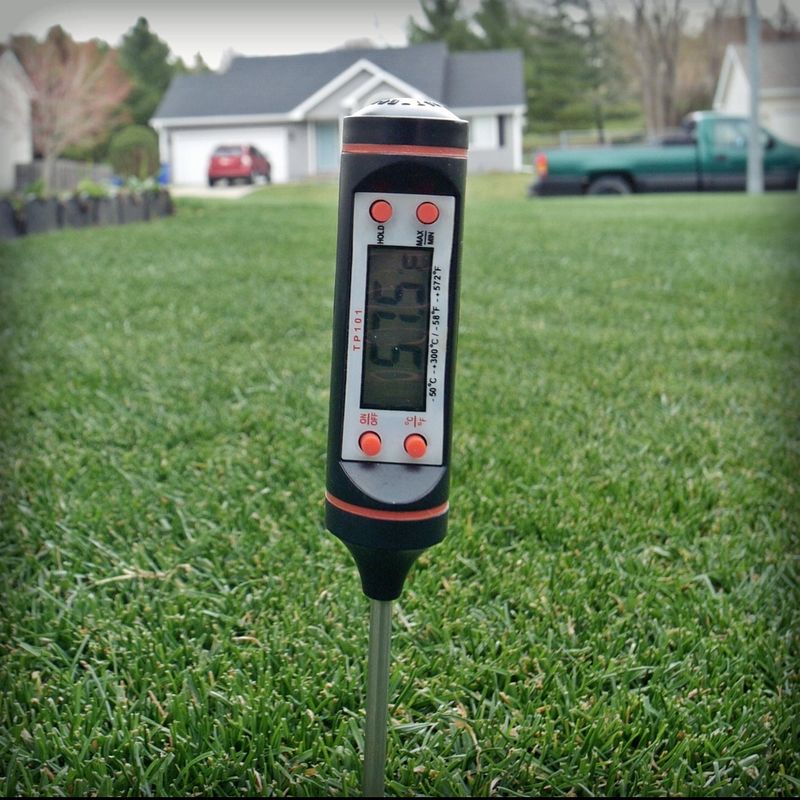 Warm Soil Temperatures Help Florida Lawns Use Fertilizer