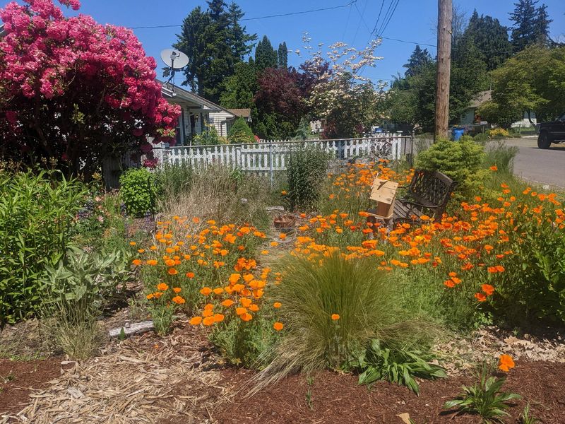 Low-Maintenance Choices For Busy Gardeners