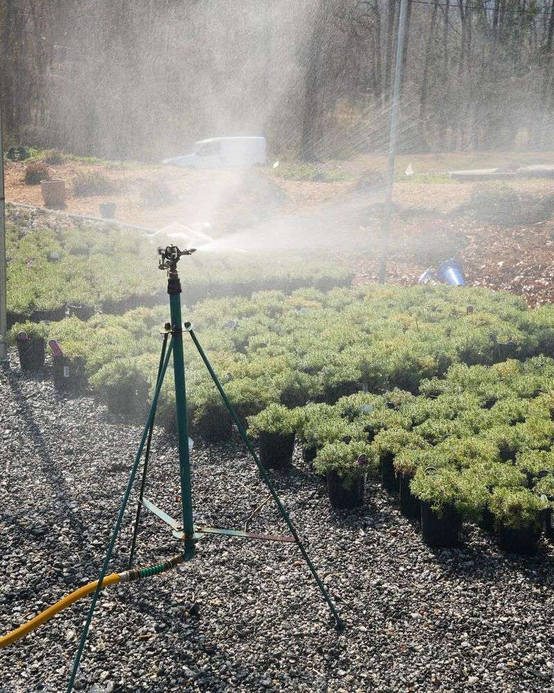 Adjust Your Watering For Texas Weather