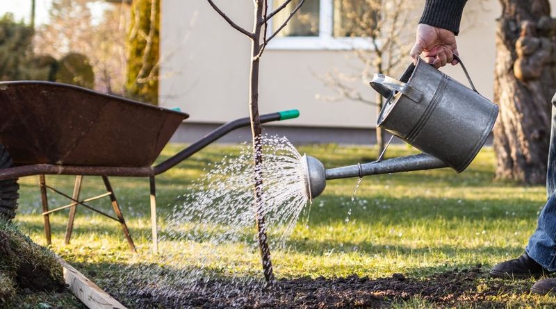 Water Early In The Morning