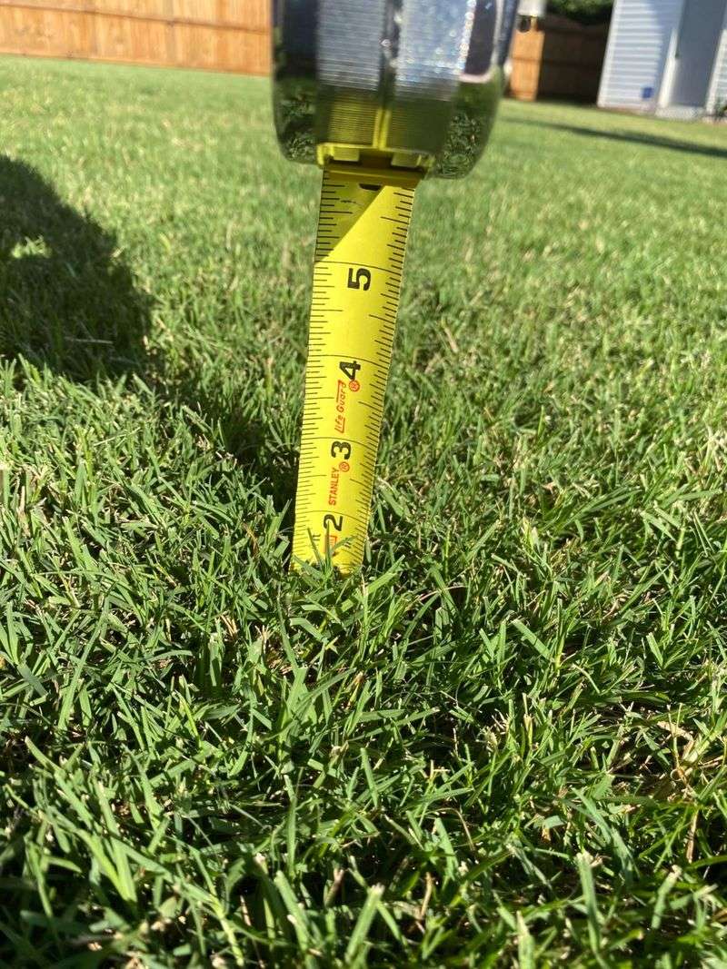 Match Mowing Height To Your Grass Type