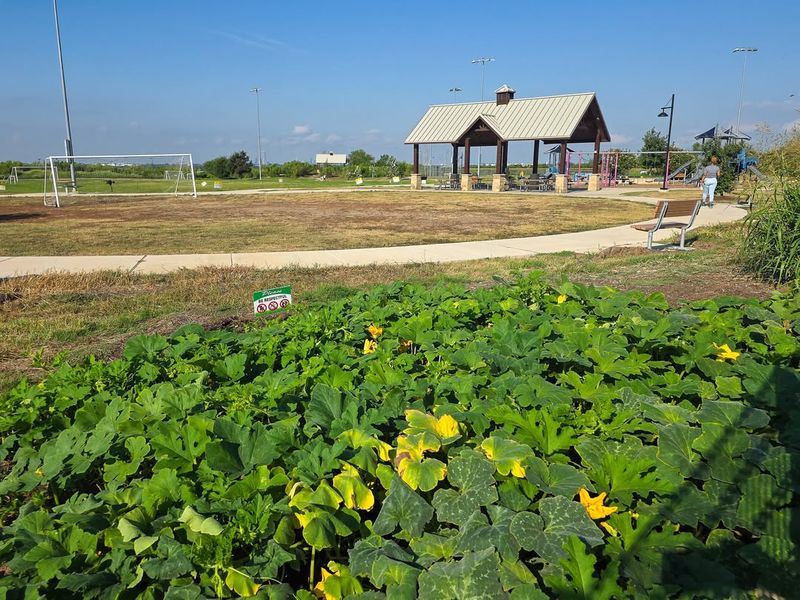 Find And Secure A Suitable Garden Site