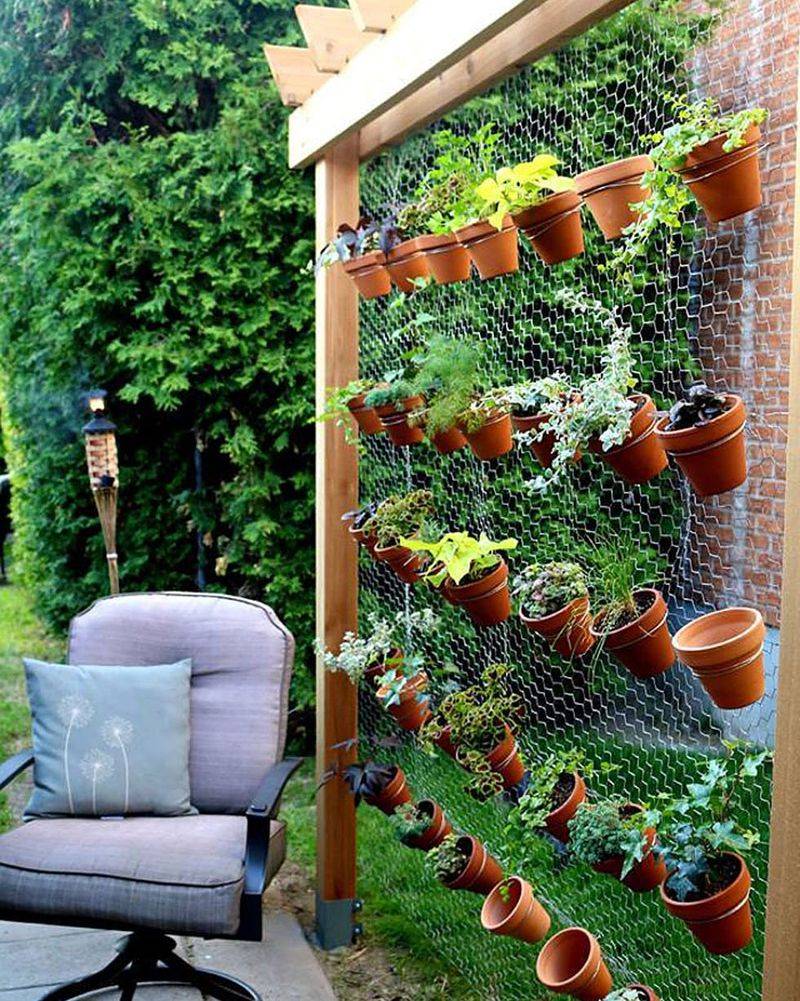 A Space Saving Vertical Garden