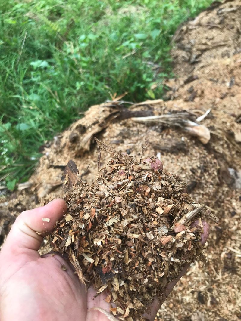 Raw Sawdust Can Starve Plants Of Nitrogen