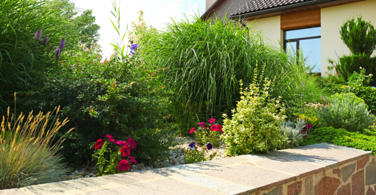 front yard landscape