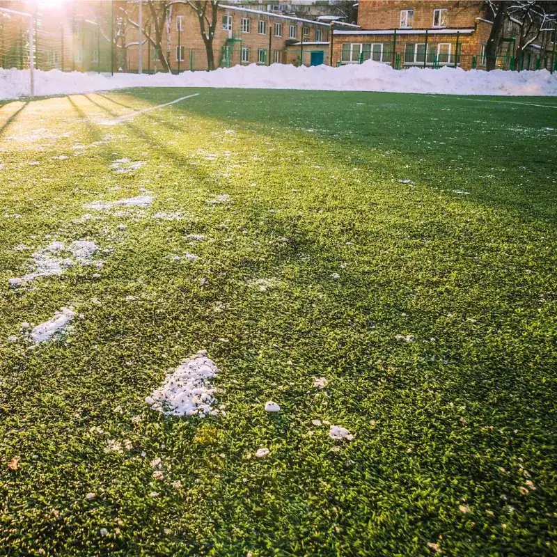 Early Sunlight Can Stress Frozen Grass