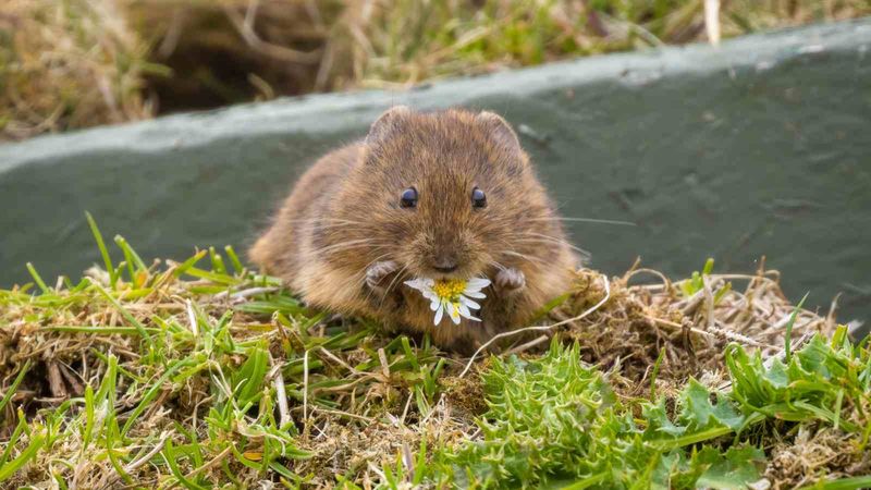 Early Spring Is The Best Time To Assess And Act