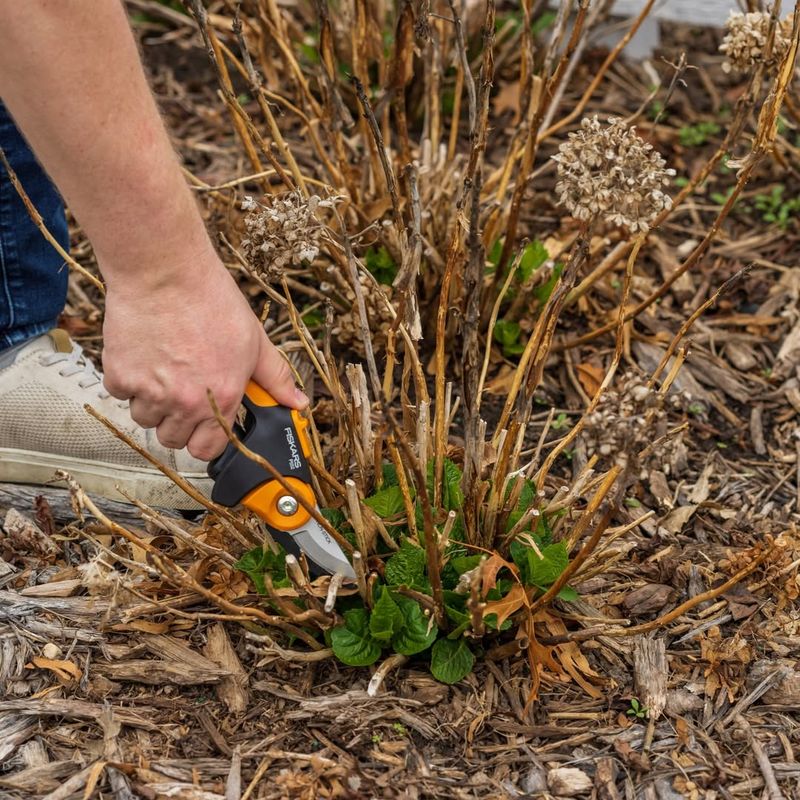 Always Match The Method To The Plant Type