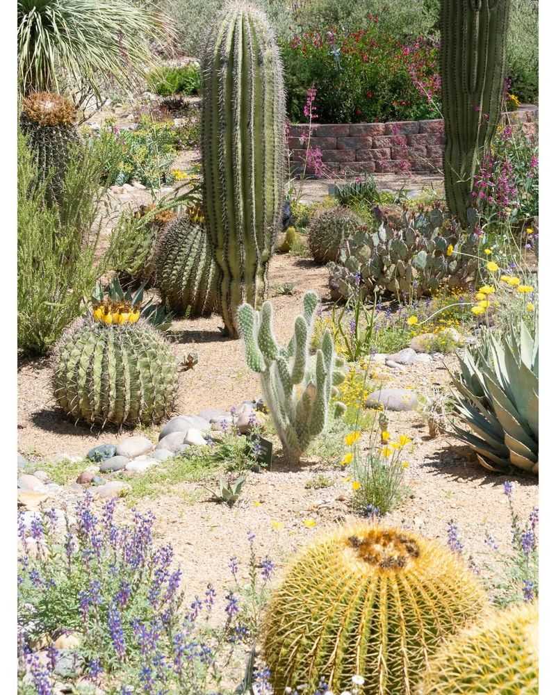 Xeriscape Flower Bed With Color And Texture