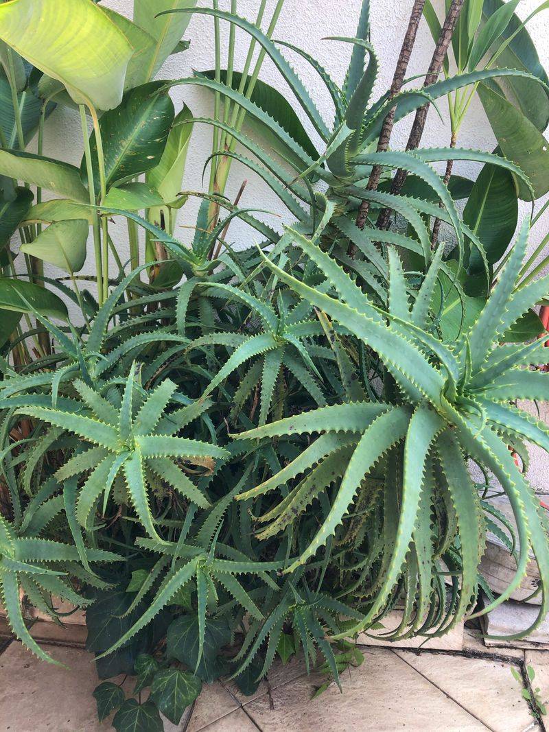 Quick Fixes To Restore Health