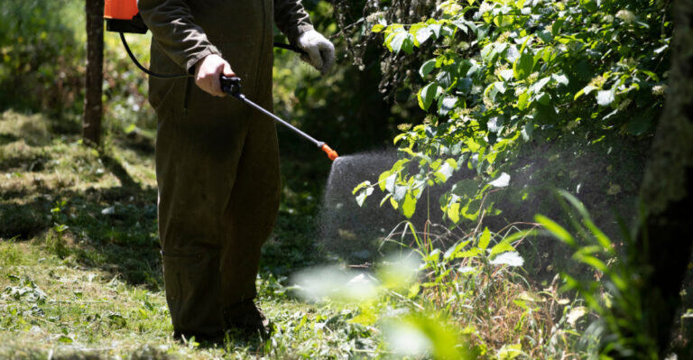 Garden Chores Pennsylvania Gardeners Should Wrap Up Before April