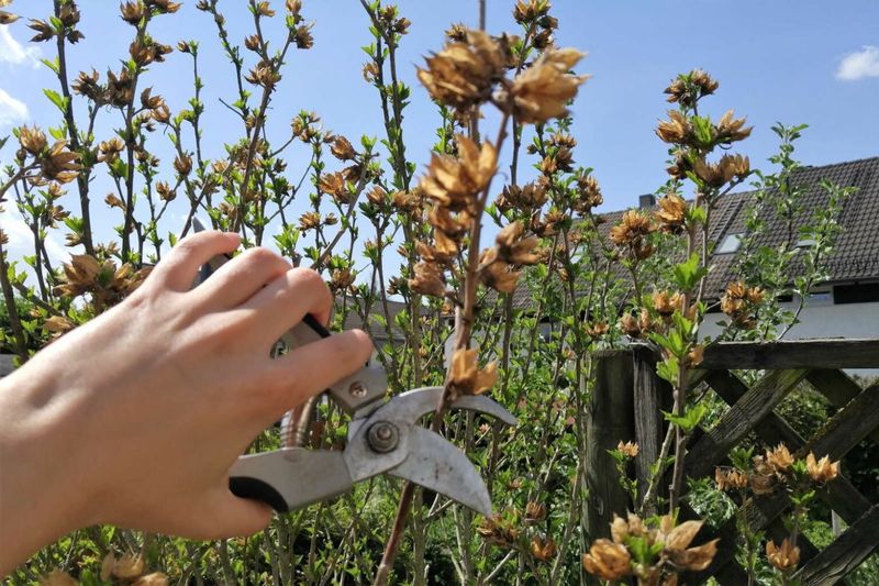 How To Make The Perfect Cut Every Single Time